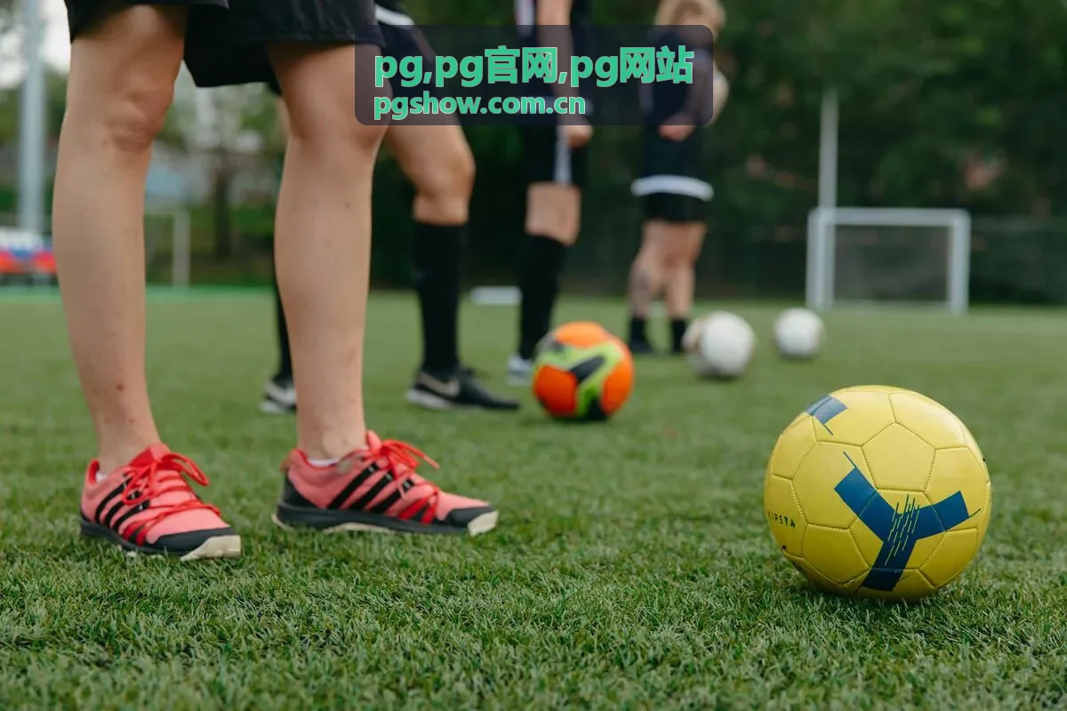PG官网解决方案功能示意